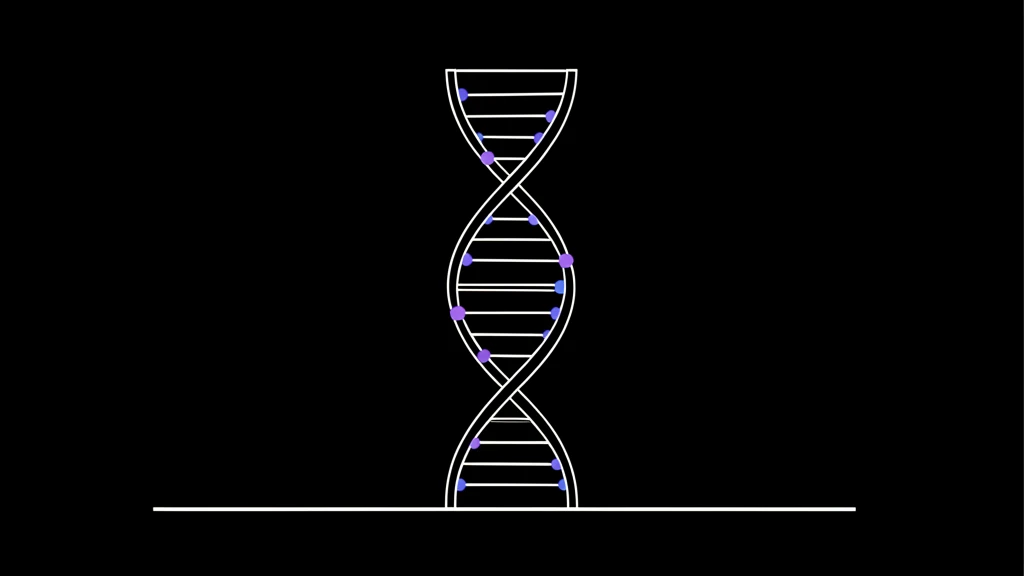 How to Build a Fertility Optimization Stack in 2026