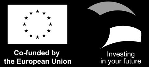 Co-funded by the European Union. Investing in your future.